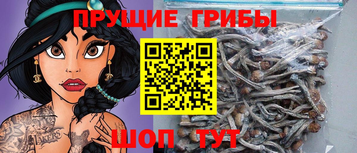 Псилоцибиновые грибы мицелий  Вход с VPN  Кандалакша  Псилоцибиновые грибы прущие грибы 